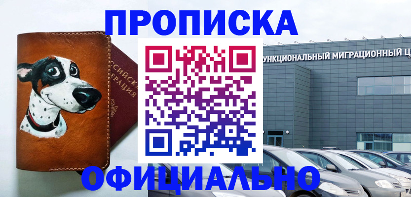 временная прописка в Химках